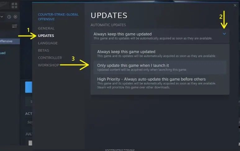 steam games only update on lunch